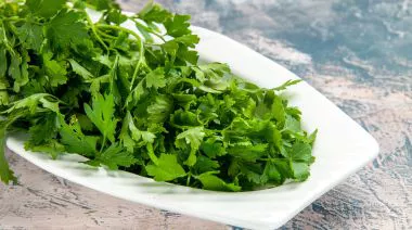 garnishing-instructions-image